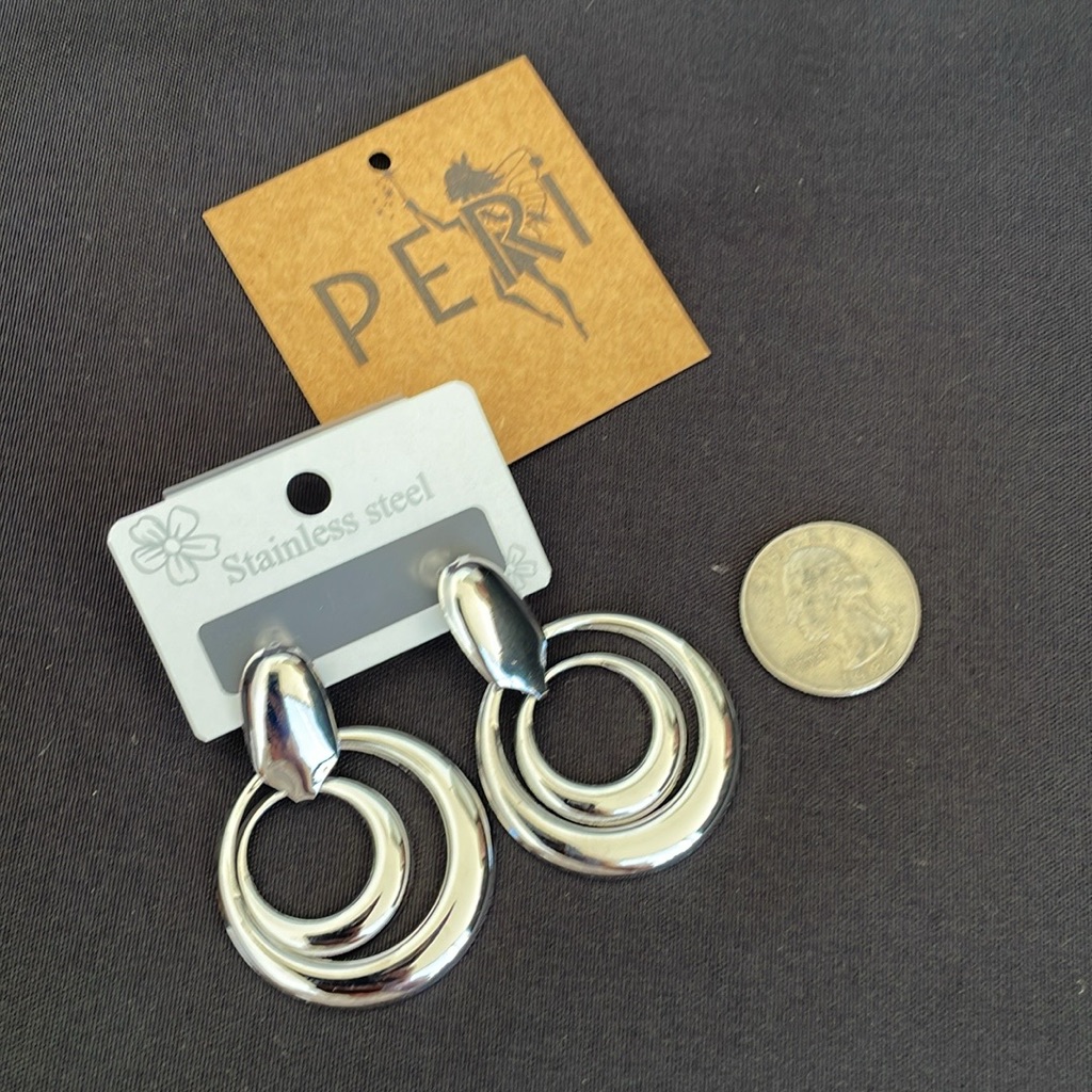 Stainless Steel Silver Earrings